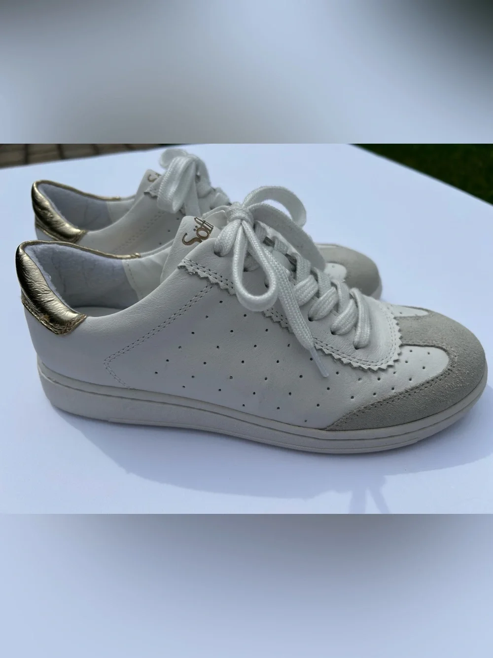 NWT🌷Sofft White & Light Gray Leather Sneakers with Gold Metallic Accent